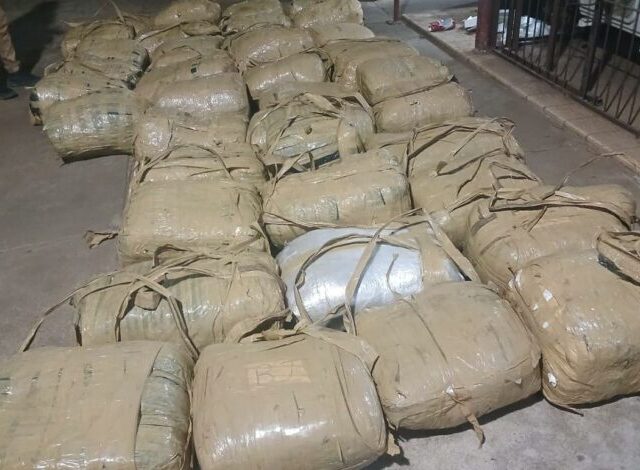 Limpopo Police Seize R2m Dagga and Codeine